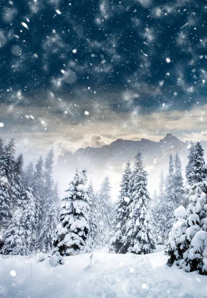 有白雪覆盖的冷杉和大雪覆盖的高山的圣诞背景 — 图库照片