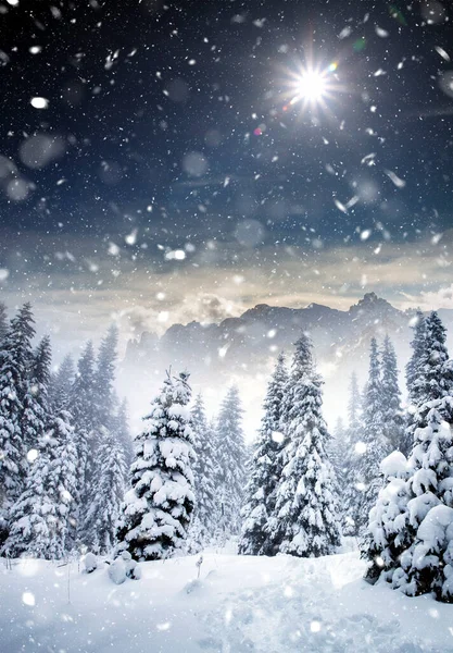 Fondo Escénico Navidad Con Abetos Nevados Durante Una Fuerte Tormenta — Foto de Stock