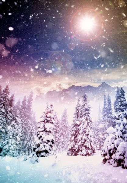 Christmas Background Snowy Fir Trees Mountains Heavy Blizzard — Stock Photo, Image