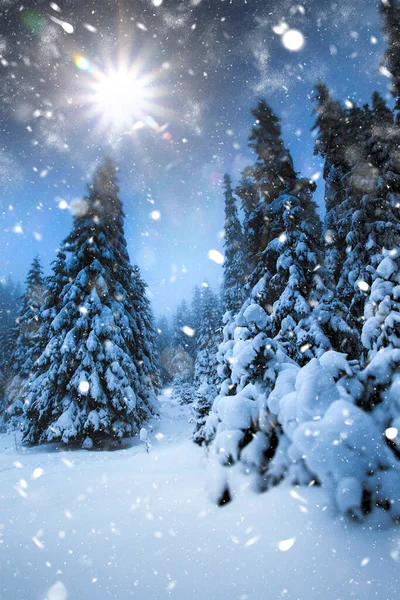 Naturskön Jul Bakgrund Med Snöiga Granar Tung Snöstorm — Stockfoto