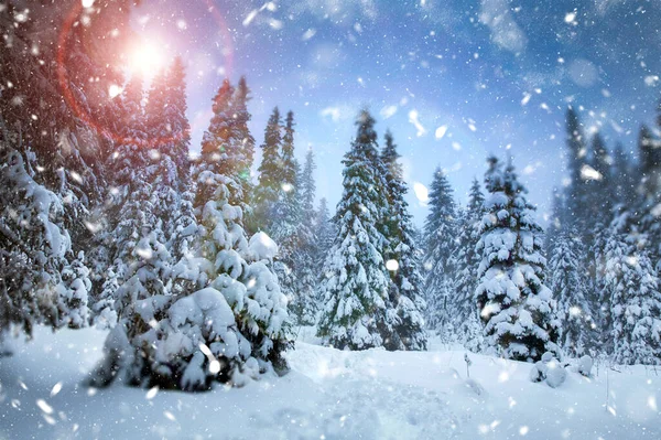 Scenic Kerstachtergrond Met Besneeuwde Dennenbomen Tijdens Zware Sneeuwstorm — Stockfoto