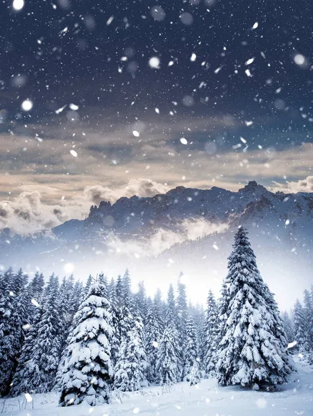 大雪の中で雪のモミの木や山とクリスマスの背景 — ストック写真