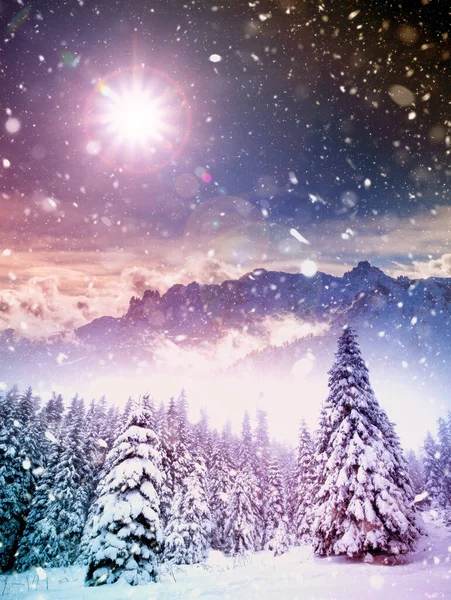 Fundo Natal Com Abetos Nevados Montanhas Nevasca Pesada — Fotografia de Stock
