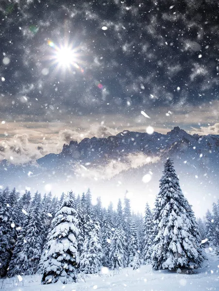 有白雪覆盖的冷杉和大雪覆盖的高山的圣诞背景 — 图库照片
