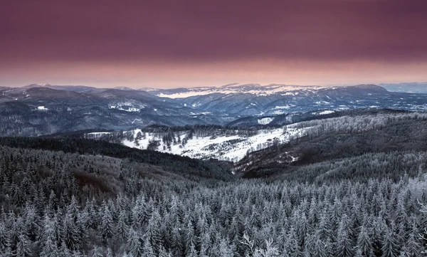 巨大な雪の天気の間に山や松の木の美しい景色 — ストック写真