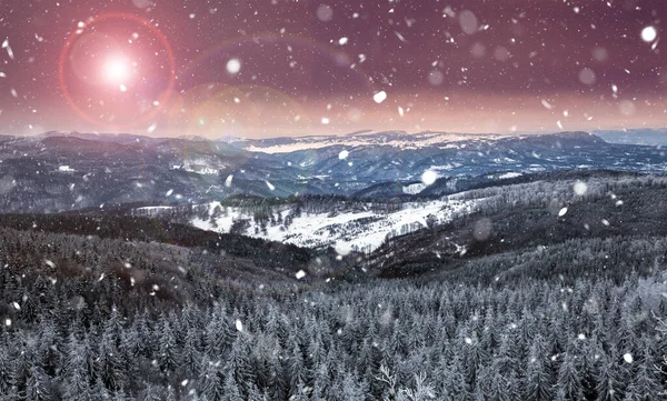 Schöne Aussicht Auf Berge Und Kiefern Bei Riesigem Schneetreiben — Stockfoto