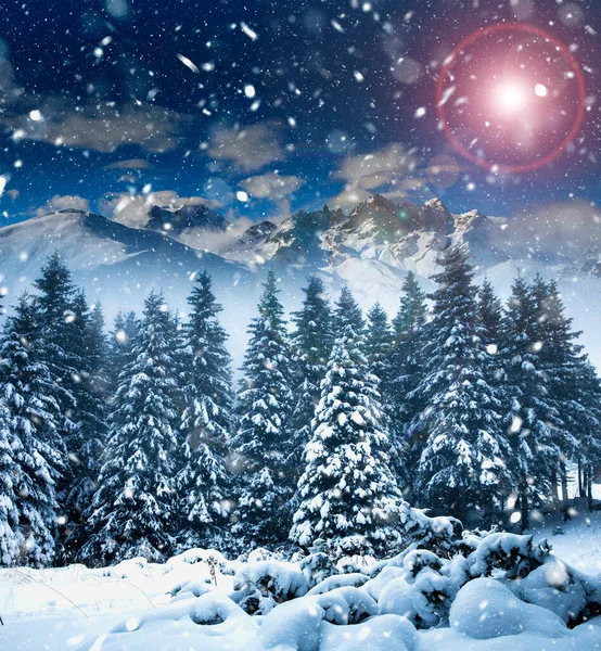 Karácsonyi Háttér Havas Fenyő Fák Hegyek Nehéz Hóviharban Stock Fotó