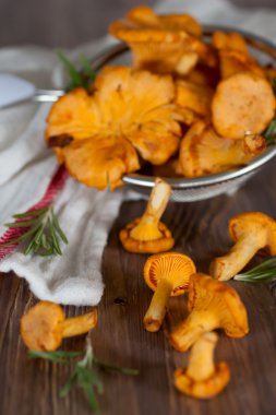 chanterelles elek içinde