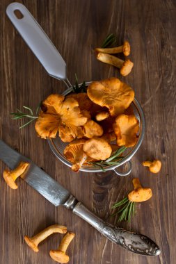 chanterelles elek içinde