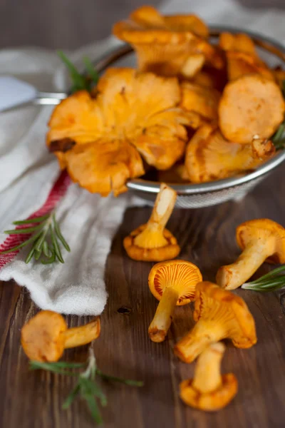 chanterelles elek içinde