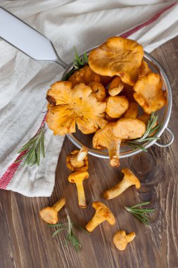 Chanterelles