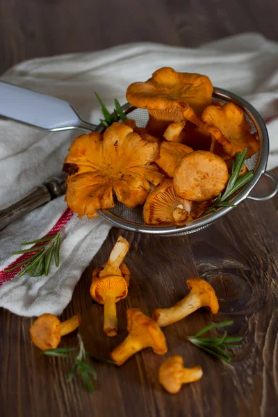 Chanterelles elek içinde — Stok fotoğraf