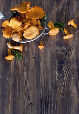 chanterelles elek içinde