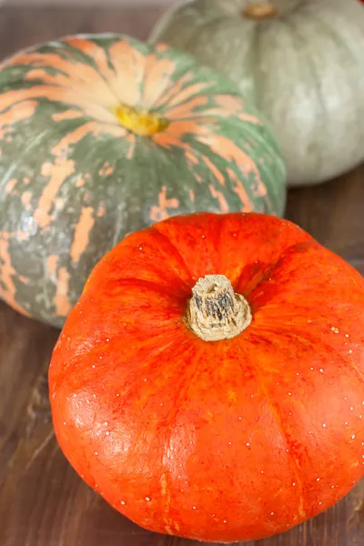 Autumn pumpkins on wooden background — Stock Photo, Image