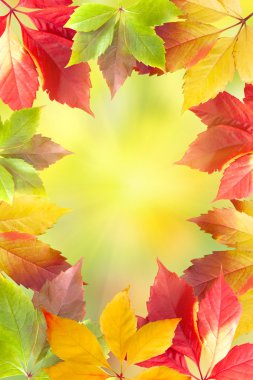 Sonbahar yaprakları çerçevesi