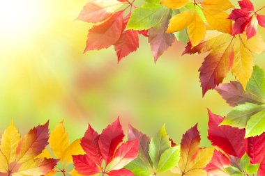 Sonbahar yaprakları çerçevesi