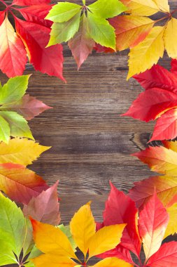 Sonbahar yaprakları çerçevesi