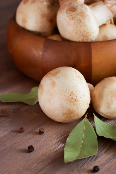 Funghi crudi, aglio, alloro e pepe. Preparato per la cottura — Foto Stock