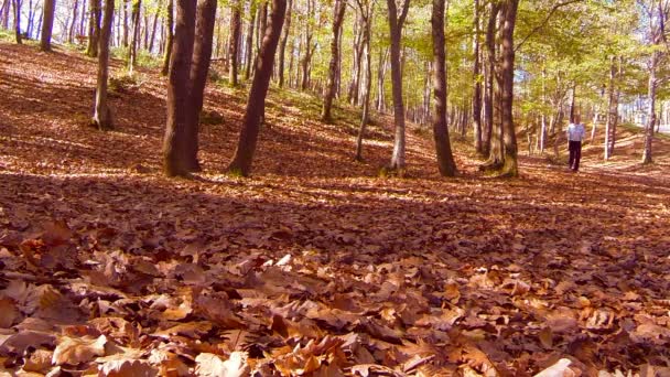 Woman running — Stock Video