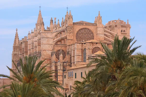 La Seu cathedral in Plama — Stock Photo, Image