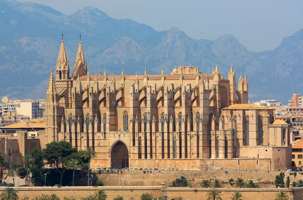 La Seu cathedral in Plama — Stock Photo, Image