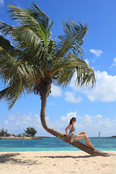 Дівчина на згинальних пальмових дерев на Багамах — стокове фото