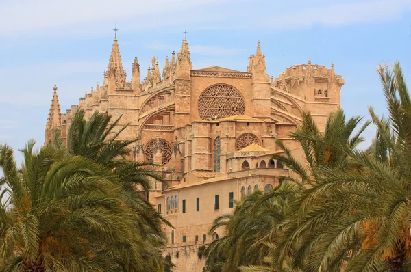 La Seu cathedral in Plama — Stock Photo, Image