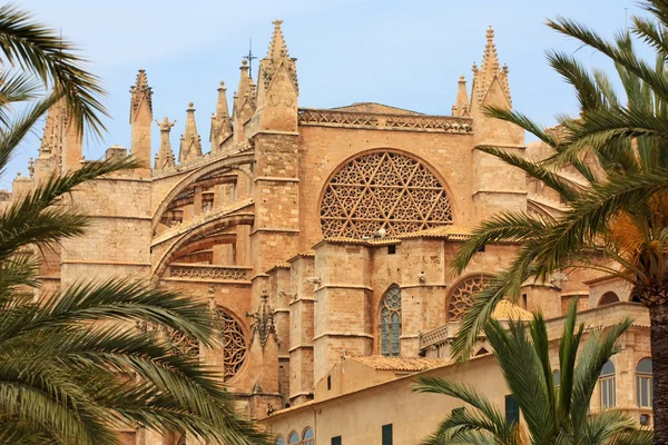 La Seu cathedral in Plama — Stock Photo, Image