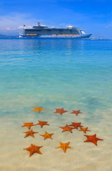 Crucero y estrellas de mar — Foto de Stock