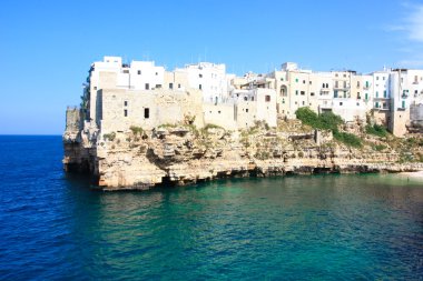 Polignano kısrak