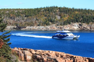 acadia Milli Parkı kayalık sahil şeridi