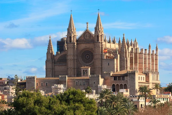 palma de Mallorca La seu Katedrali