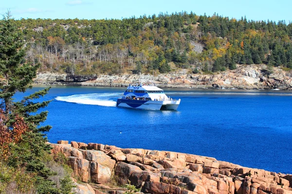 Felsige Küste des Acadia-Nationalparks — Stockfoto