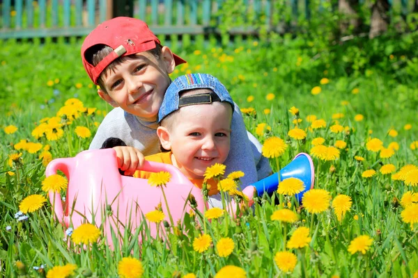 Malí kluci hrají v květu pole — Stock fotografie