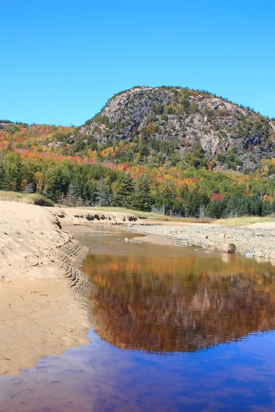Parc national Acadia à l'automne — Photo