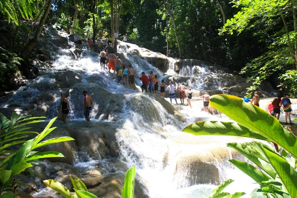 Climbing Dunn's river falls in Jamaica Stock Photo