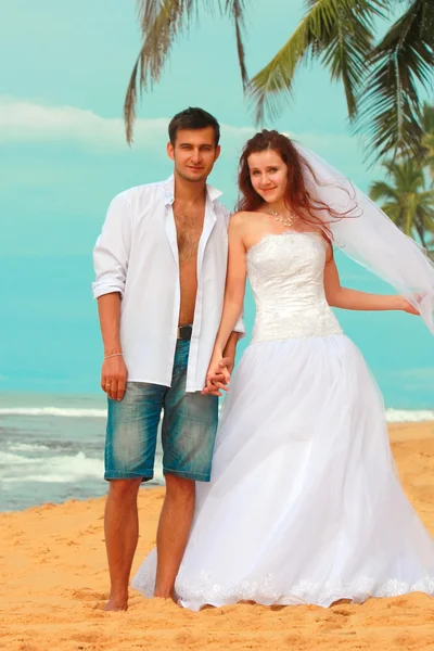 Beach wedding — Stock Photo, Image