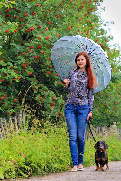 Girl walking a dachshund — Stock Photo, Image