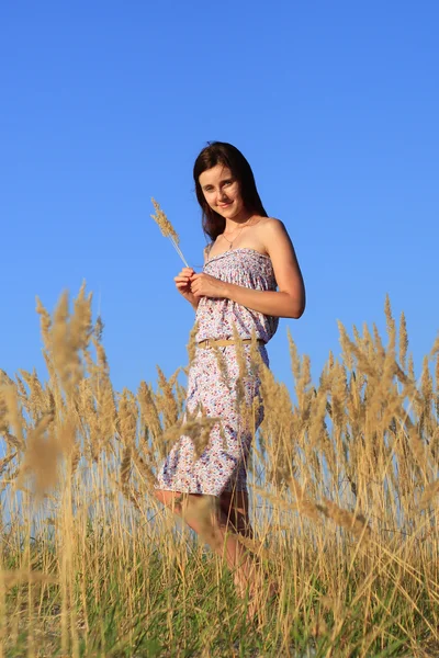 Pretty young girl at the farm — Stock Photo, Image