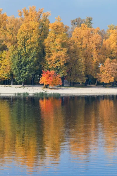 Parque de outono e o lago — Fotografia de Stock