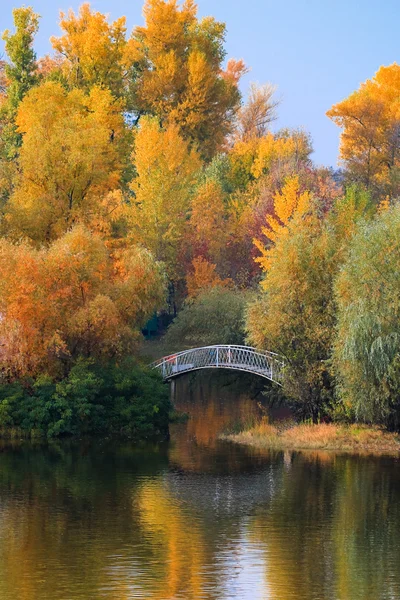 Parque de outono e o lago — Fotografia de Stock