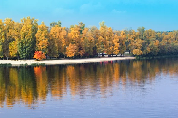 Parque de outono e o lago — Fotografia de Stock