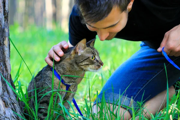 Tabby cat and its owner — Stock Photo, Image