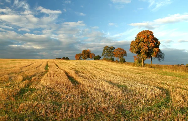 Campo de relleno — Foto de Stock