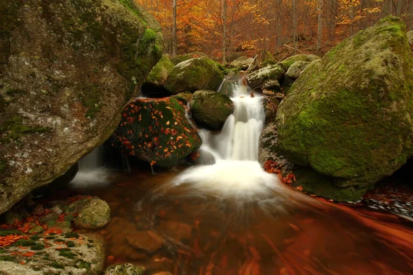 Herbstbach — Stockfoto