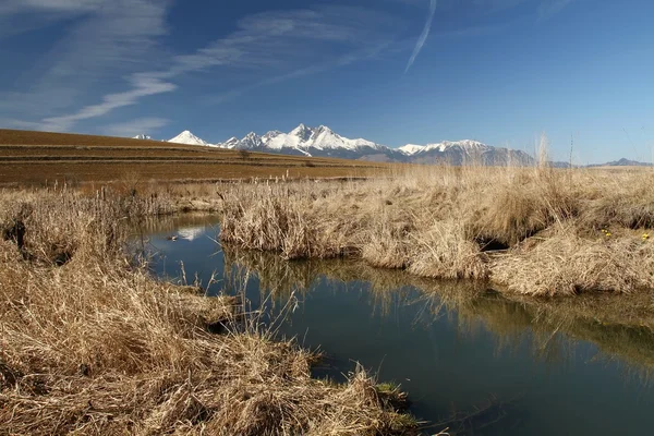 Fluxo e alta Tatras — Fotografia de Stock