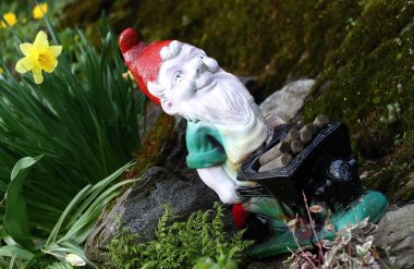 Nergis ile GNOME