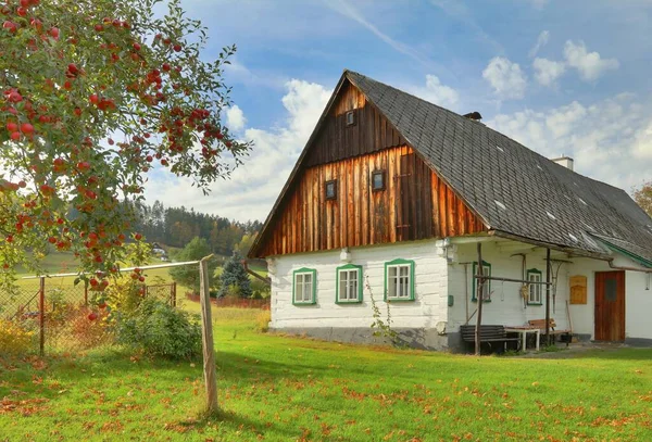 Piękny Drewniany Domek Republice Czeskiej — Zdjęcie stockowe