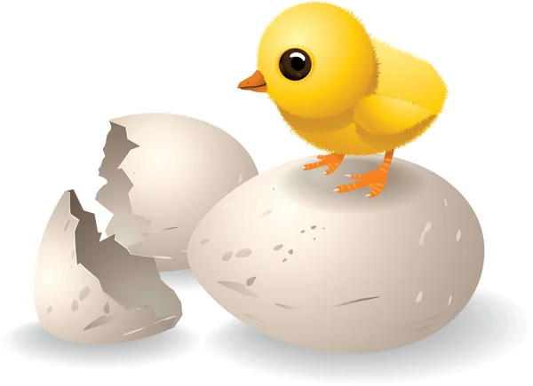 Schattig gearceerde chick vector — Stockvector