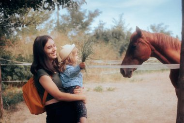 Küçük Yürüyen Kız Çiftlik Atına Çimen Besliyor